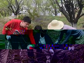 afa83a1ee77a6db6e0548ad9e724268